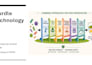 create powerpoint and canva presentations